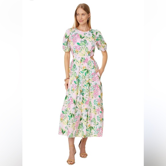 Lilly Pulitzer Lyssa Cotton Midi Dress - Picture 10 of 14